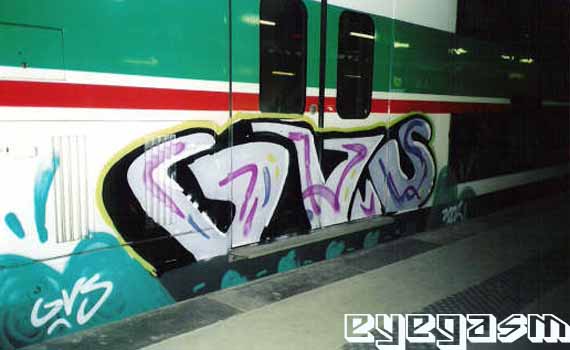 gvs13.jpg