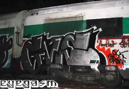 gvs15.jpg