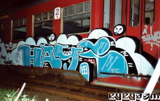 hays02.jpg