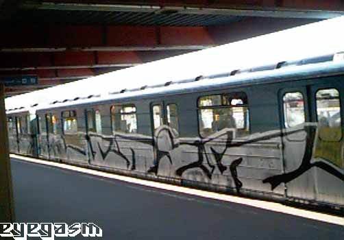hc-wes01.jpg