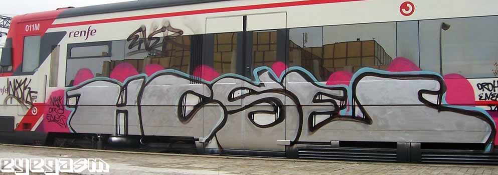 hcse01.jpg
