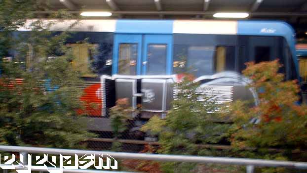 hd02.jpg