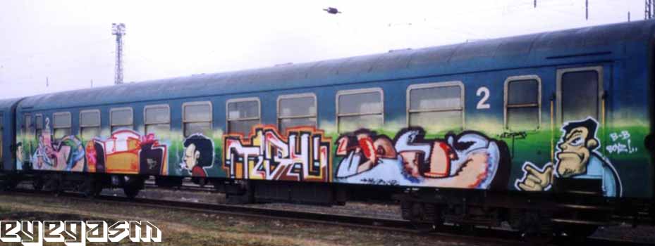 hoek-poter-tish-creps01.jpg