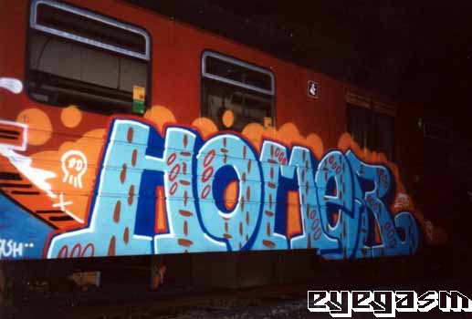 homer02.jpg