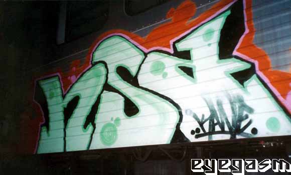hsa01.jpg