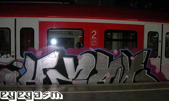 hsan01.jpg