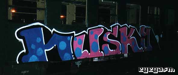 husky01.jpg