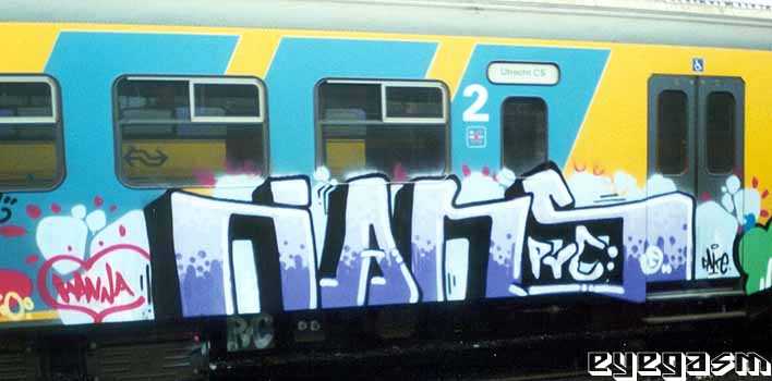 ians02.jpg