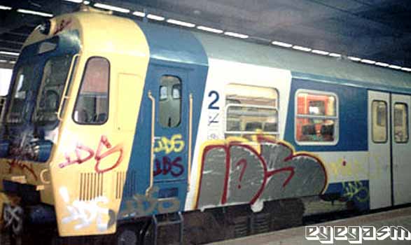ids05.jpg