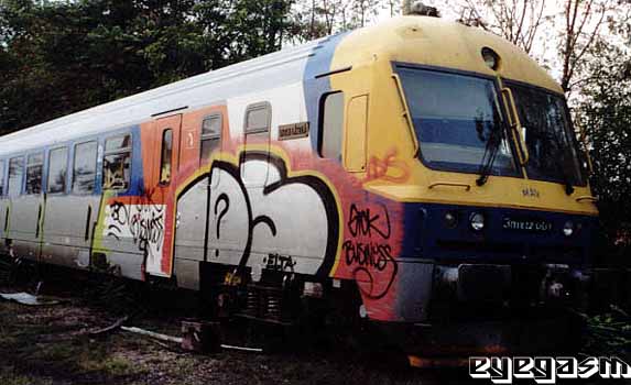 ids07.jpg