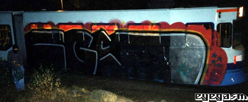 igs003.jpg