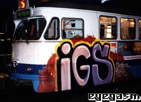 igs008.jpg