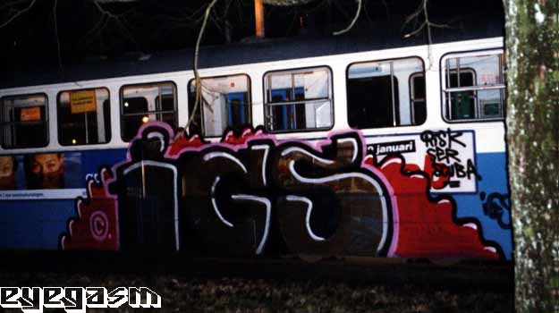 igs010.jpg