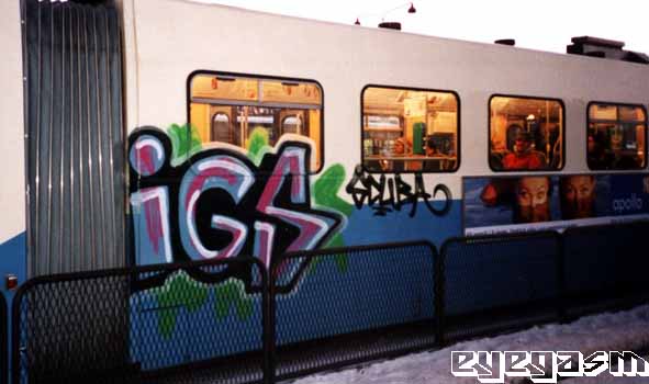igs011.jpg