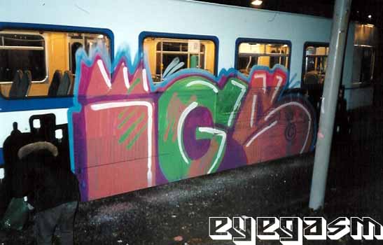 igs015.jpg