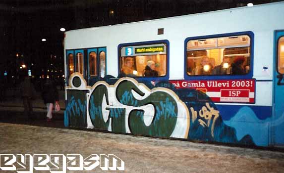 igs016.jpg