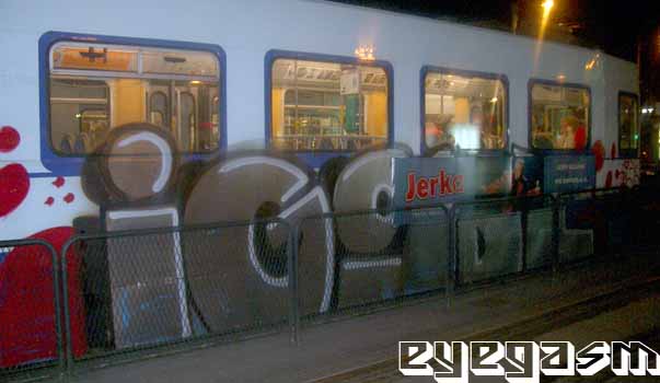 igs019.jpg