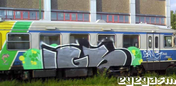 igs020.jpg
