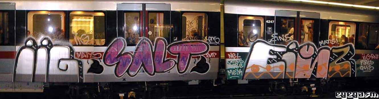 iig-salt-einz01.jpg