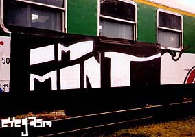 im-mint01.jpg