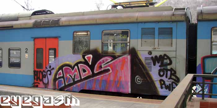 imds01.jpg