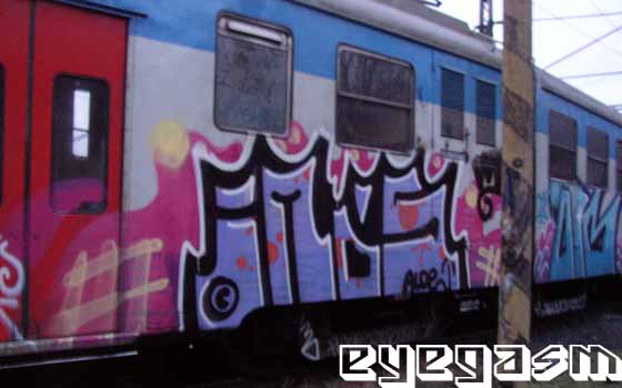 imds02.jpg