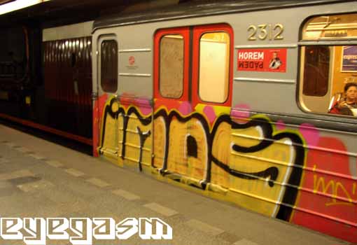 imds06.jpg