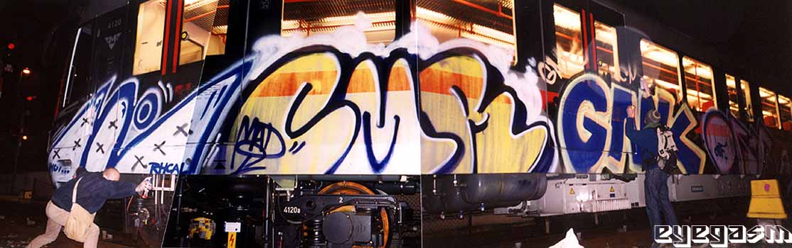 inoi-cmr-gnk-orf01.jpg