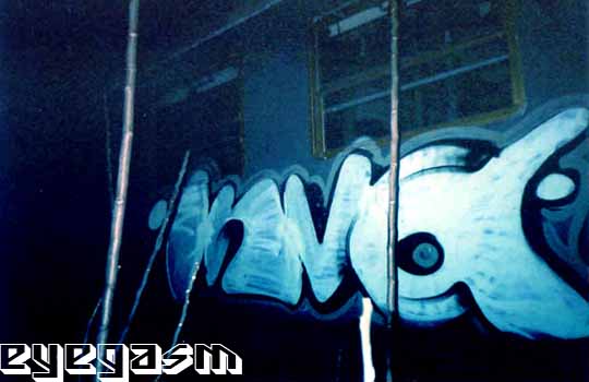 inva01.jpg