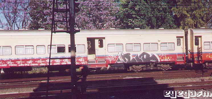irio01.jpg