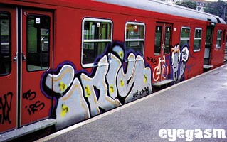 iris01.jpg
