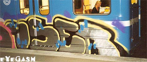 iser01.jpg