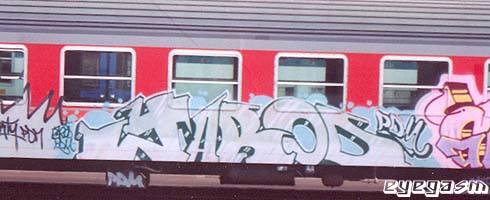 jarod01.jpg