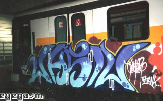 jasn01.jpg