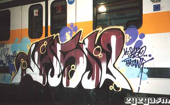 jasn02.jpg