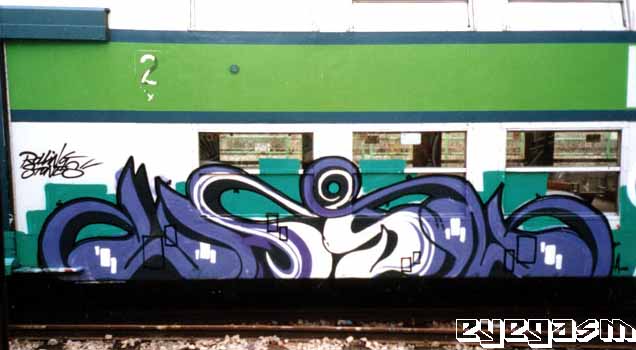 jasn06.jpg