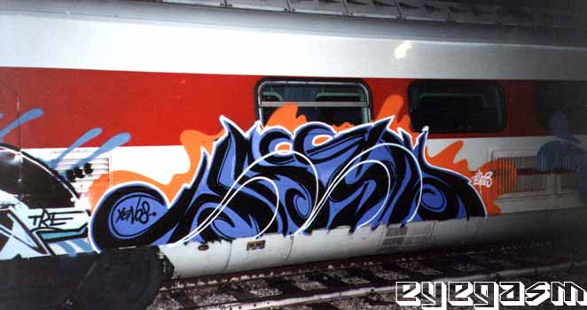 jasn12.jpg