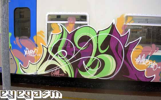 jasn19.jpg