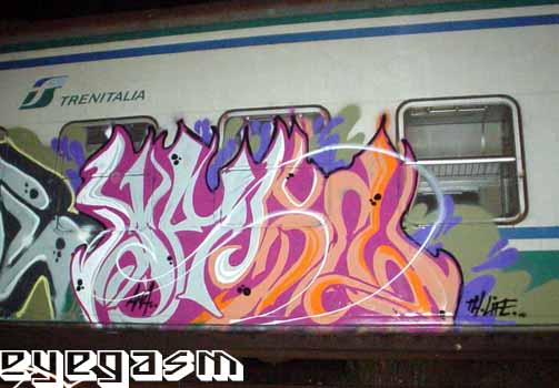 jasn31.jpg