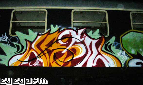 jasn39.jpg