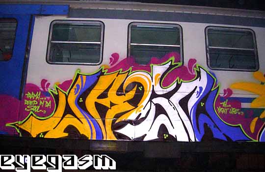 jasn51.jpg