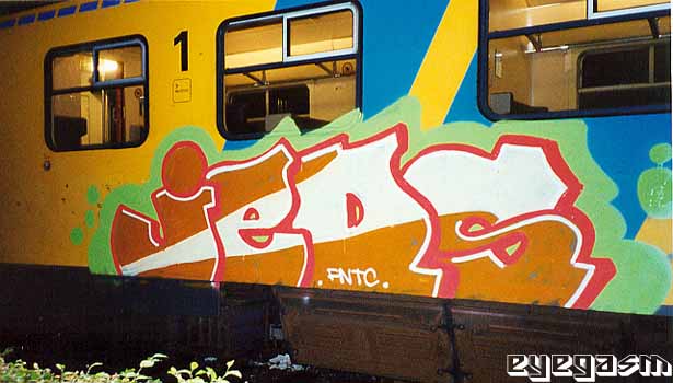jeds01.jpg