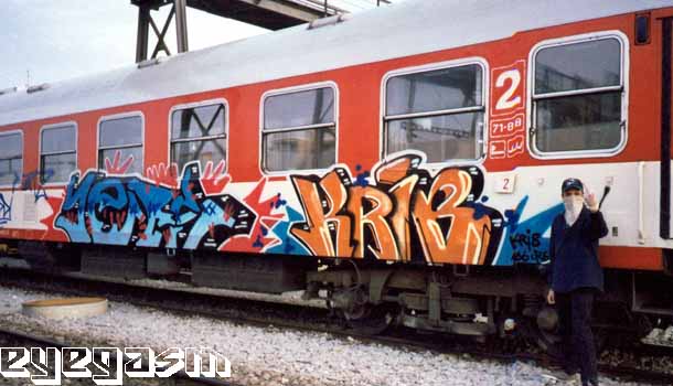 jers-krib01.jpg