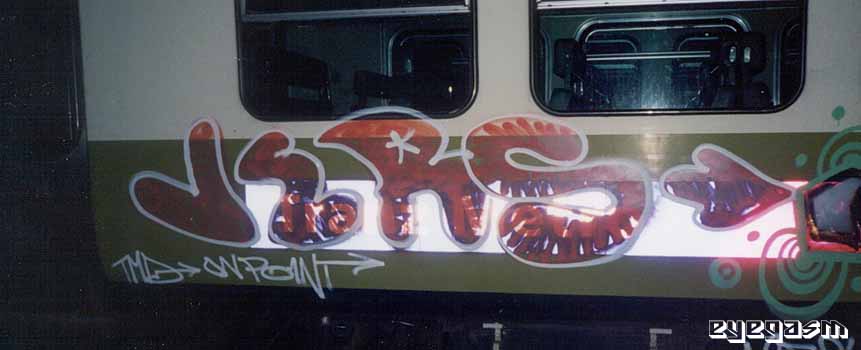 jers01.jpg