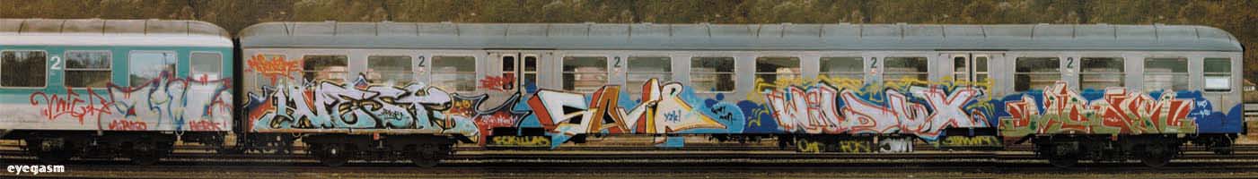 jim-nest-savir-wilddux-monk01.jpg