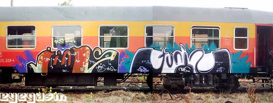 jins-tunis01.jpg