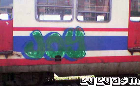 joy001.jpg