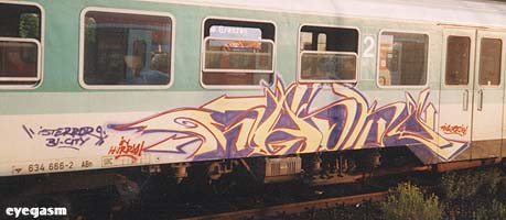 kasko01.jpg