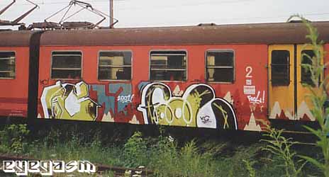 kc-fool01.jpg
