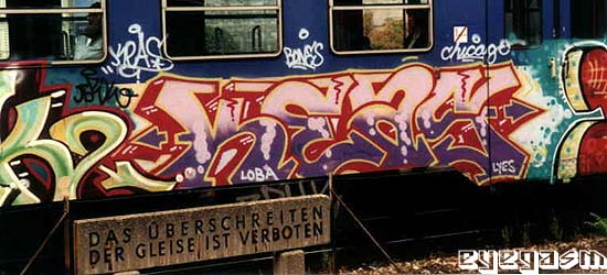 keas03.jpg
